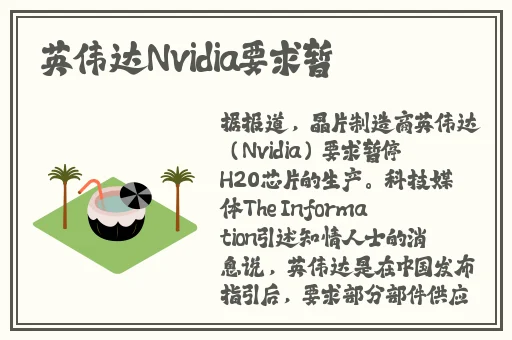 好男人视频最新免费高清完整在线观看